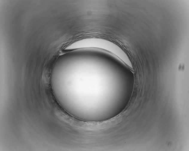 X0000093090037200710241209