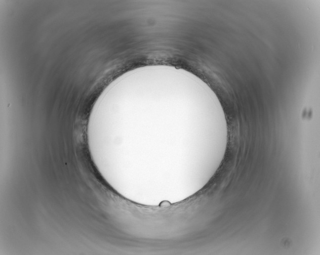 X0000093090038200710241209