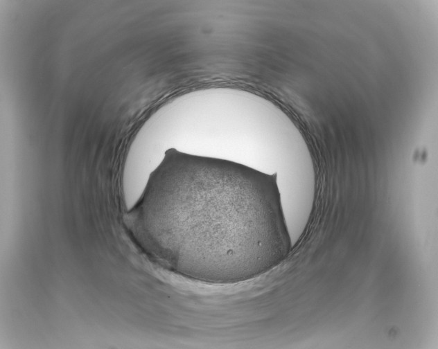 X0000093090039200710241209