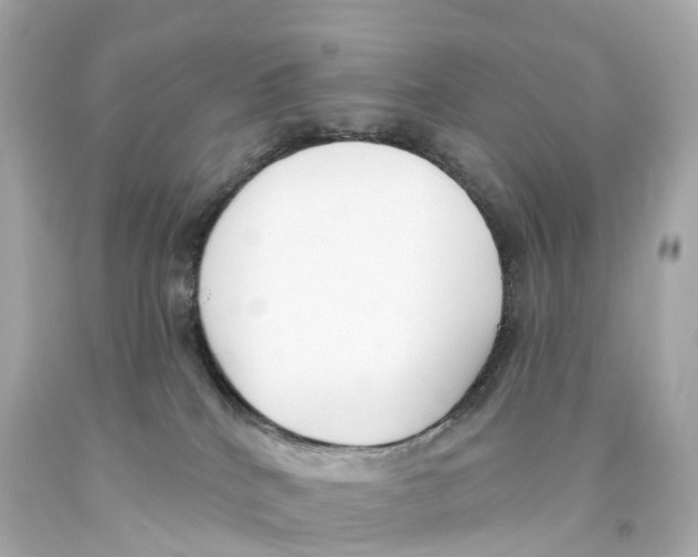 X0000093090040200710241209