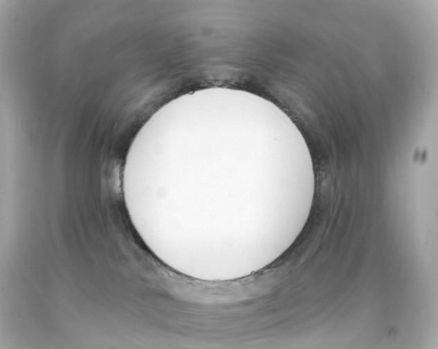 X0000093090042200710241209