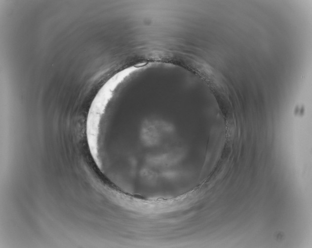 X0000093090043200710241209