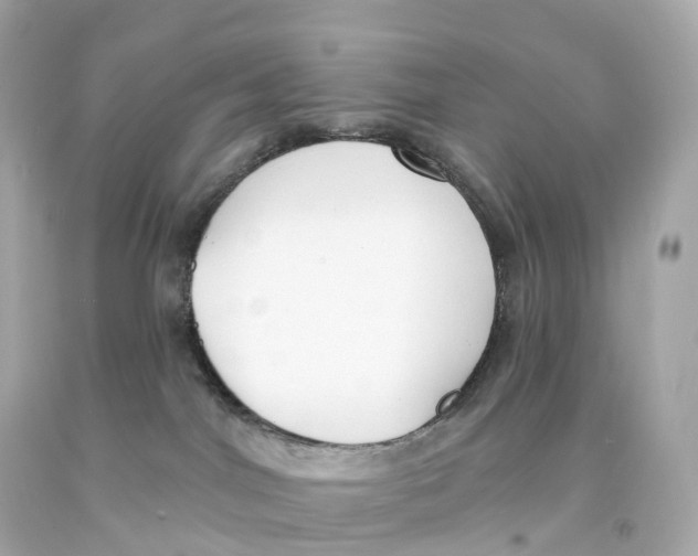 X0000093090044200710241209