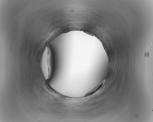 X0000093090045200710241209