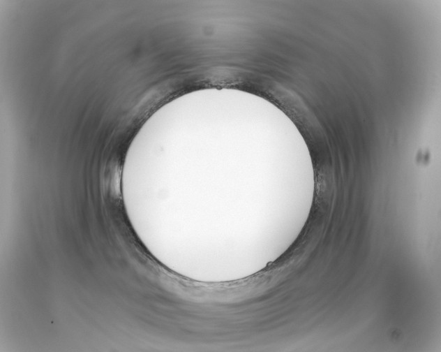 X0000093090046200710241209