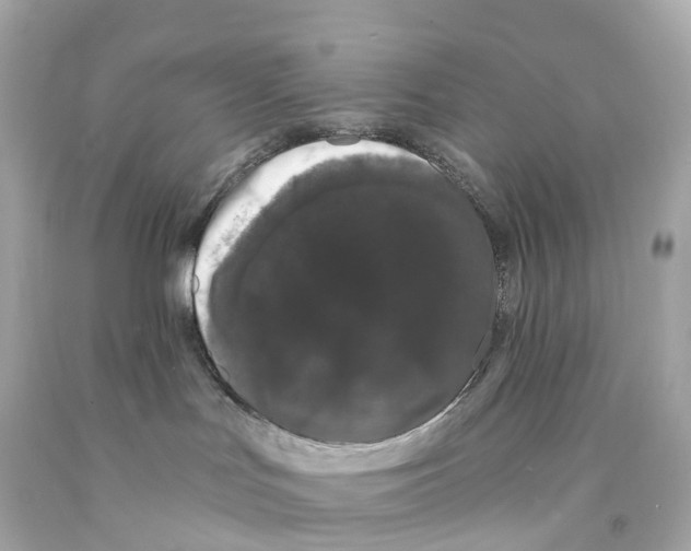 X0000093090047200710241209