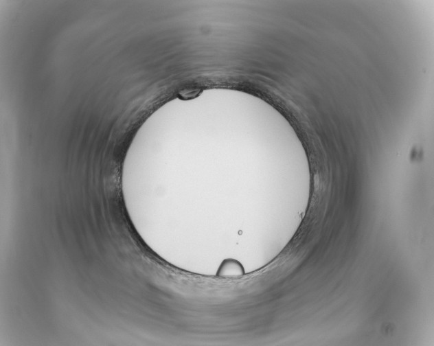 X0000093090048200710241209