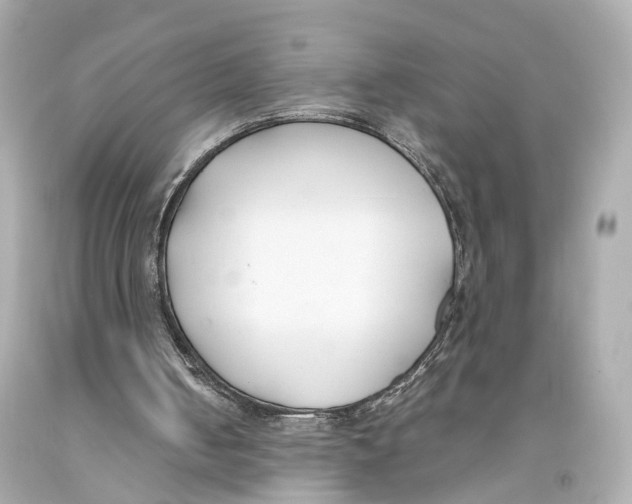 X0000093090050200710241209