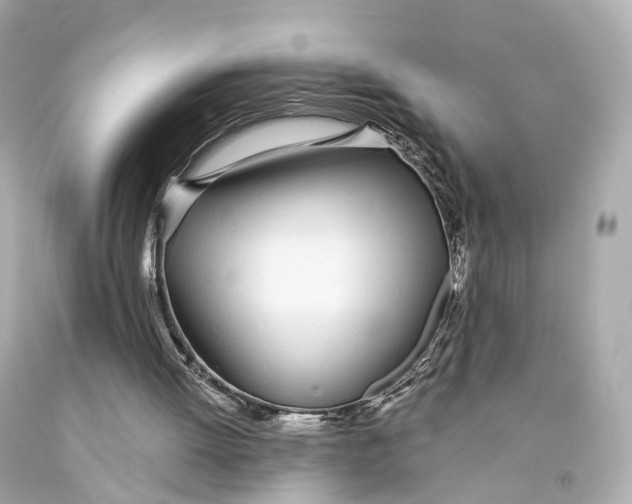 X0000093090052200710241209