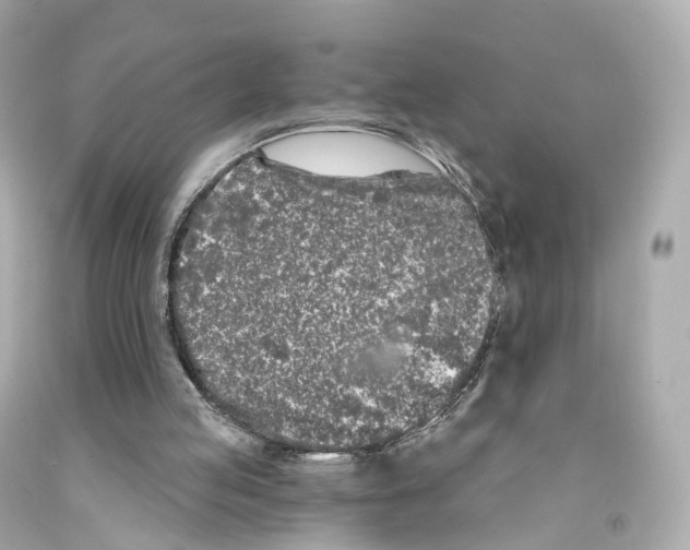 X0000093090053200710241209