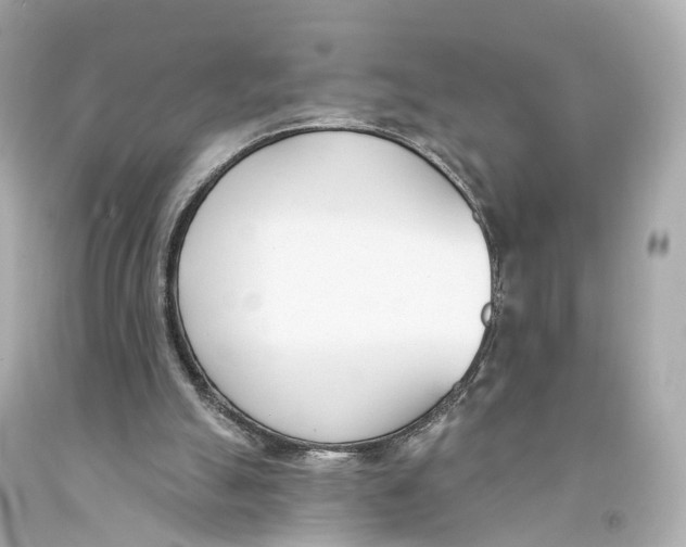 X0000093090055200710241209