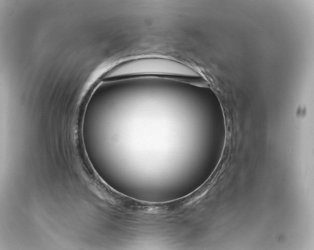 X0000093090056200710241209