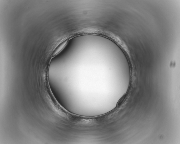 X0000093090057200710241209