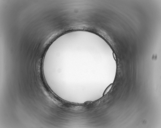 X0000093090058200710241209