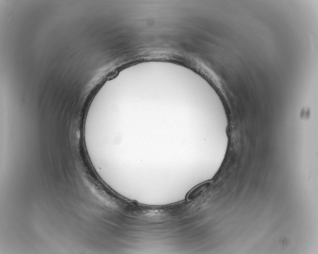 X0000093090059200710241209