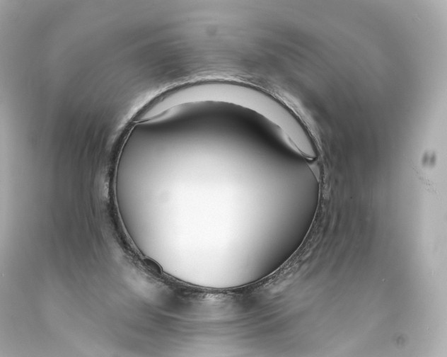 X0000093090060200710241209
