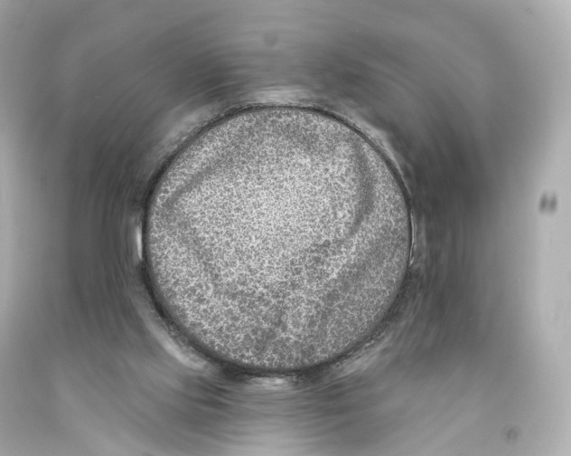 X0000093090061200710241209