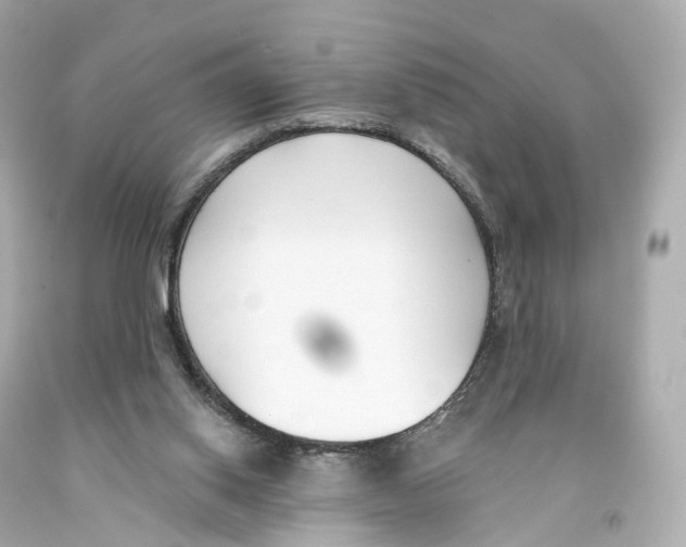 X0000093090062200710241209
