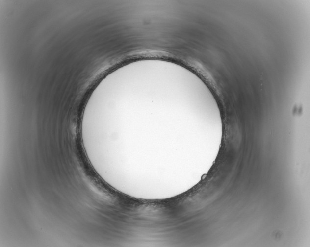 X0000093090063200710241209
