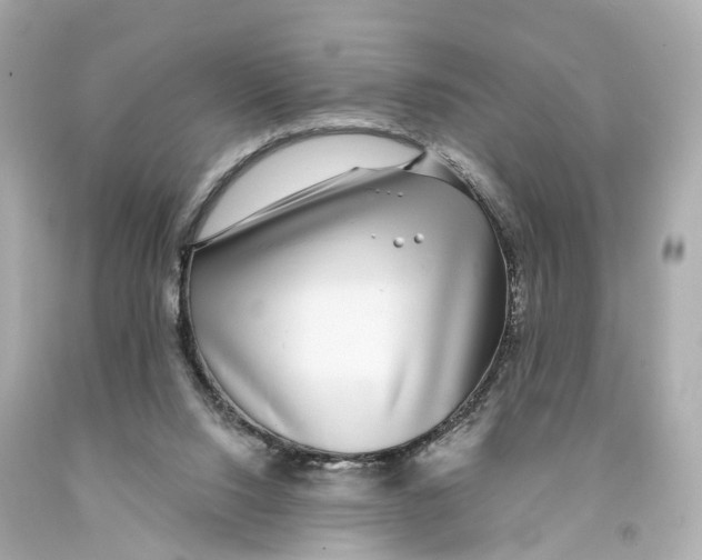 X0000093090064200710241209