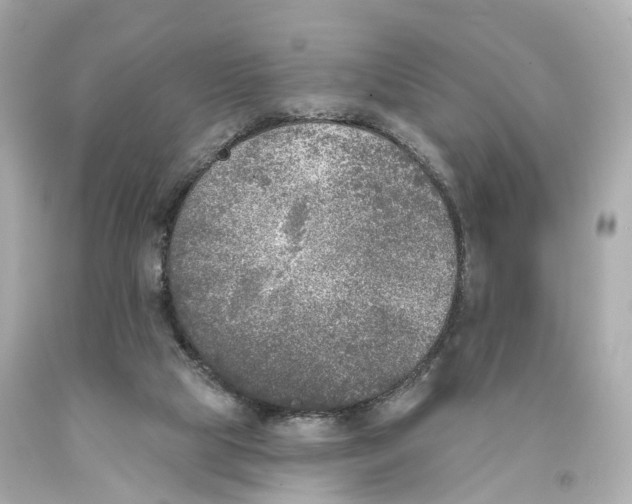 X0000093090065200710241209