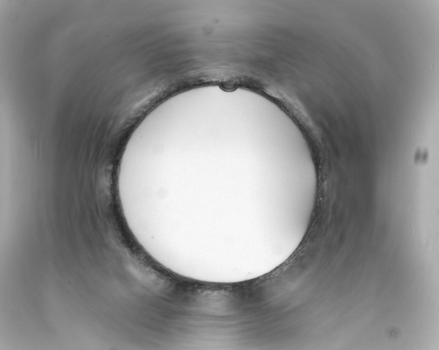 X0000093090066200710241209