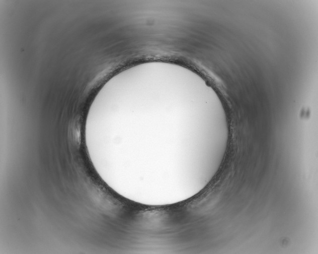X0000093090067200710241209