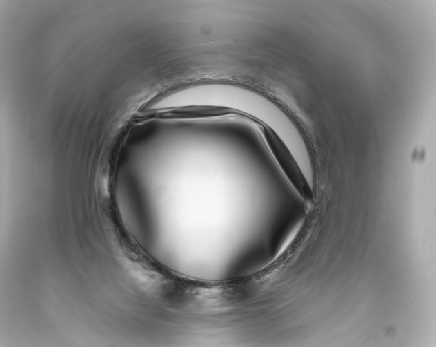 X0000093090068200710241209