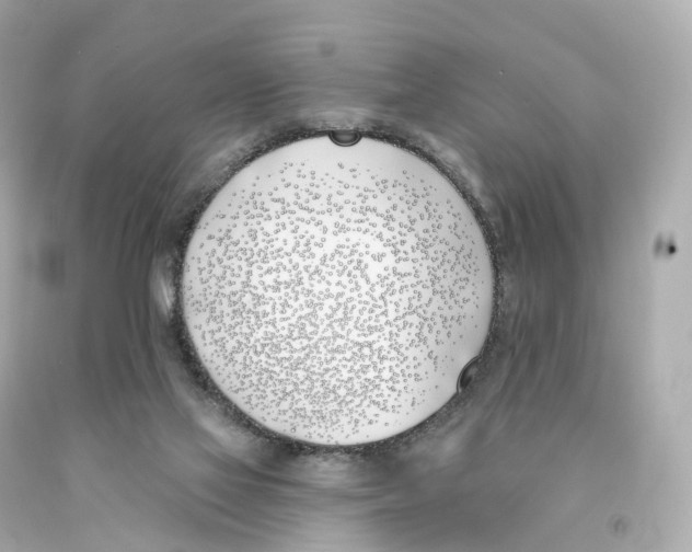 X0000093090069200710241209