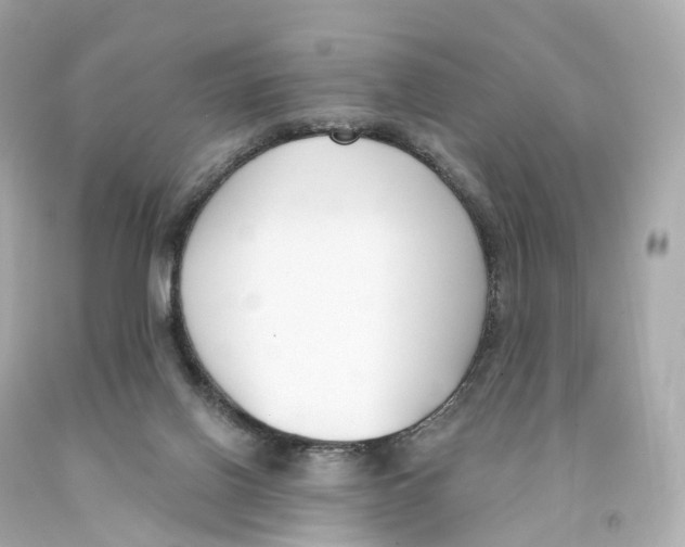 X0000093090070200710241209