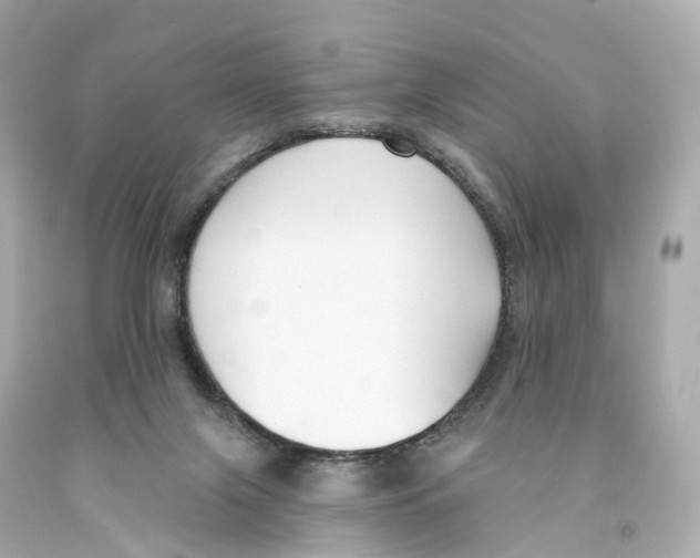 X0000093090071200710241209