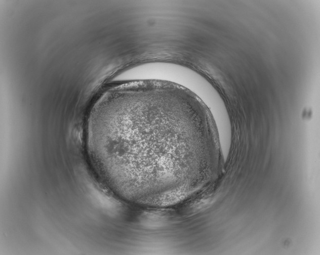 X0000093090072200710241209