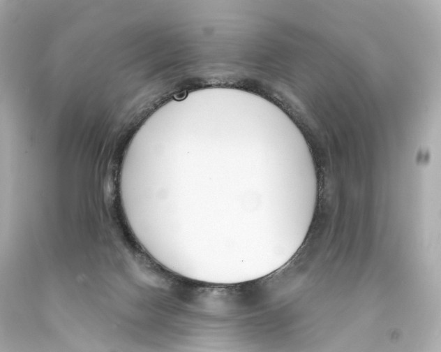 X0000093090074200710241209