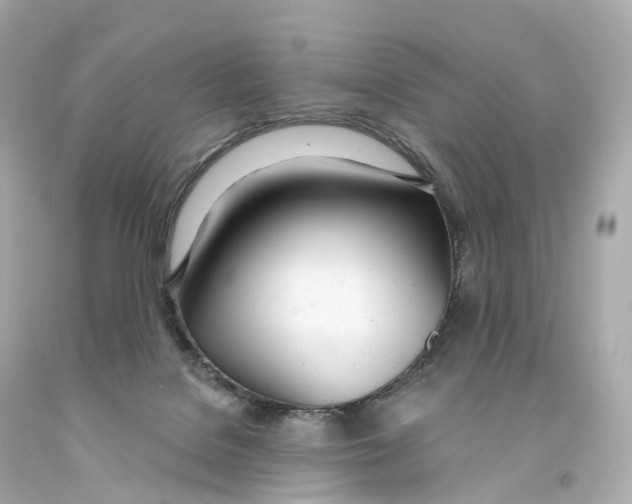 X0000093090076200710241209