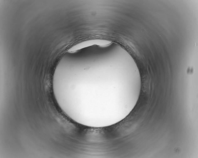 X0000093090077200710241209