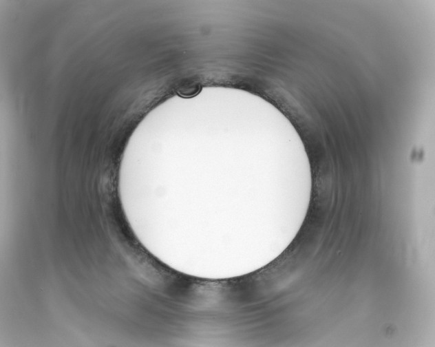 X0000093090079200710241209