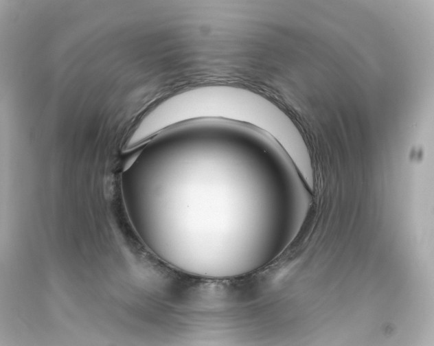 X0000093090080200710241209