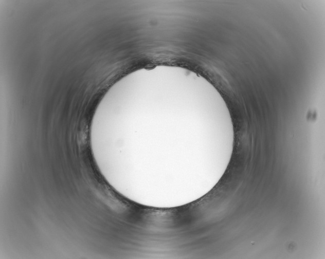 X0000093090081200710241209