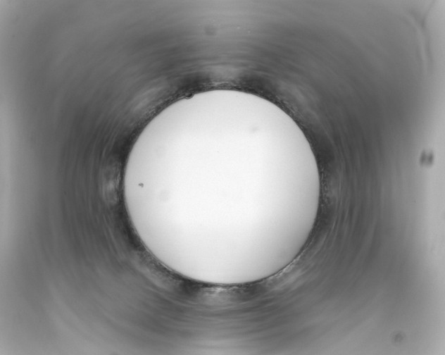 X0000093090082200710241209