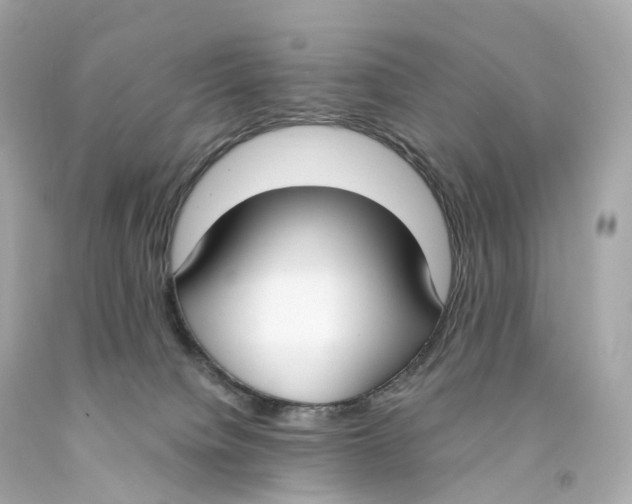 X0000093090084200710241209
