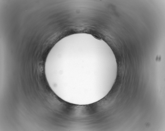 X0000093090085200710241209