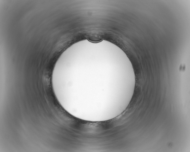X0000093090086200710241209