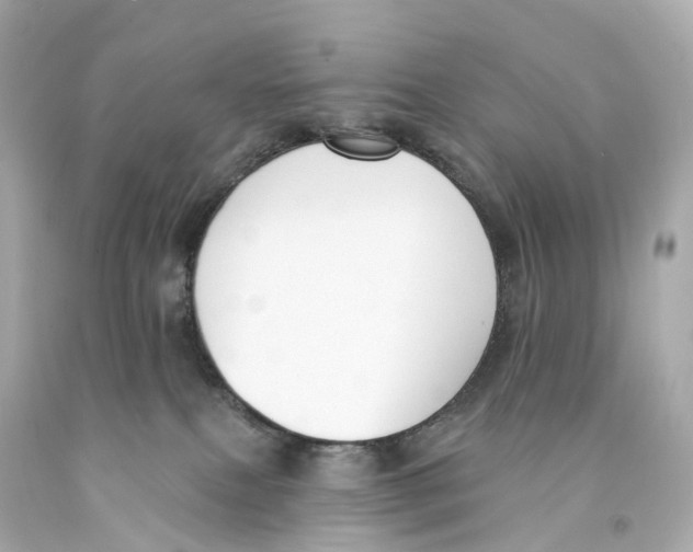 X0000093090087200710241209