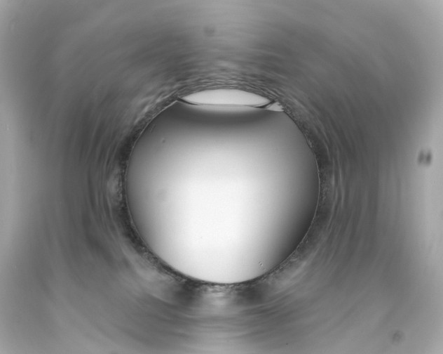X0000093090088200710241209