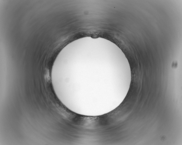X0000093090089200710241209