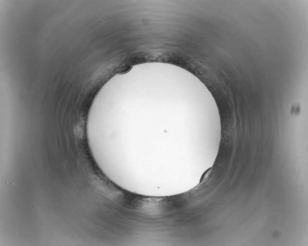 X0000093090090200710241209