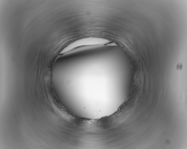 X0000093090092200710241209