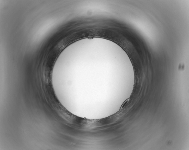 X0000093090093200710241209