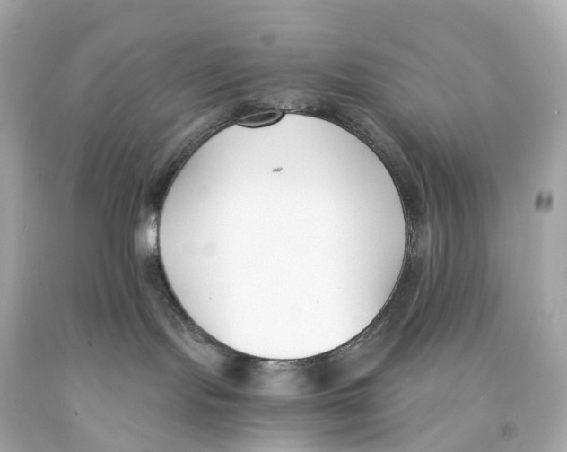 X0000093090095200710241209