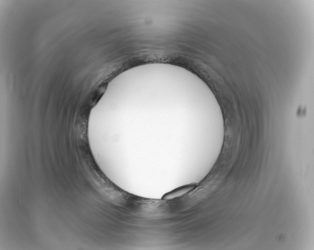 X0000093090096200710241209